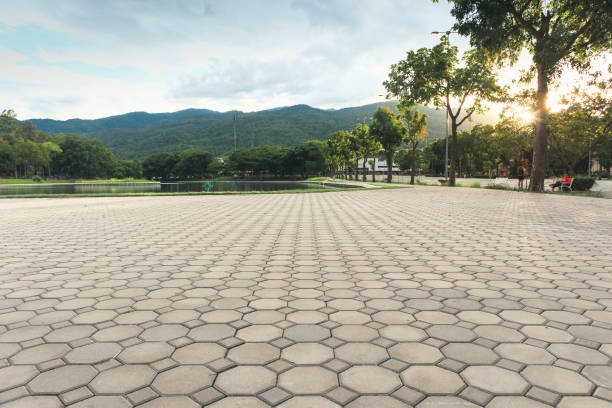 Best Driveway Paving Contractor  in Hampton Manor, NY